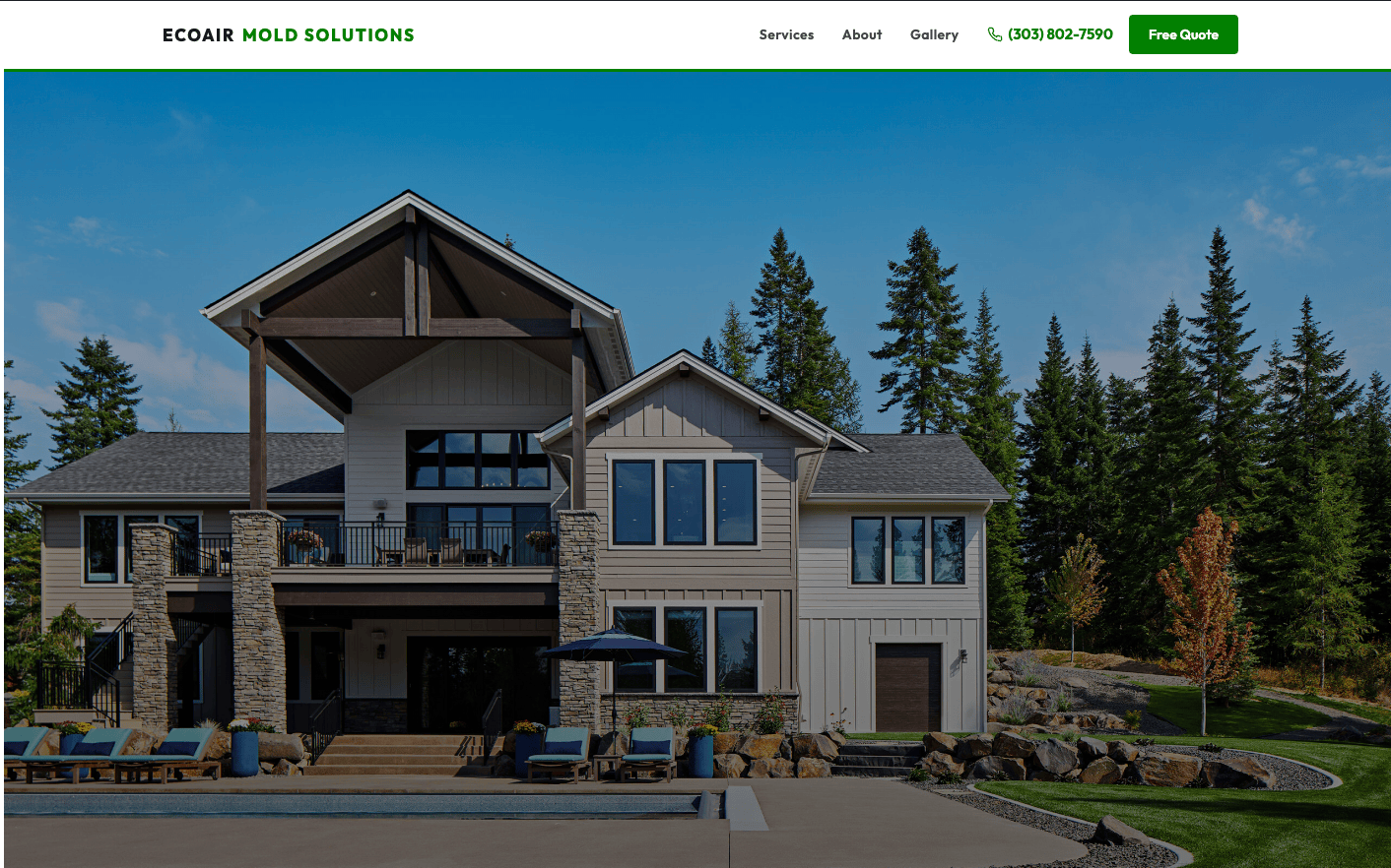 EcoAir Mold Solutions website